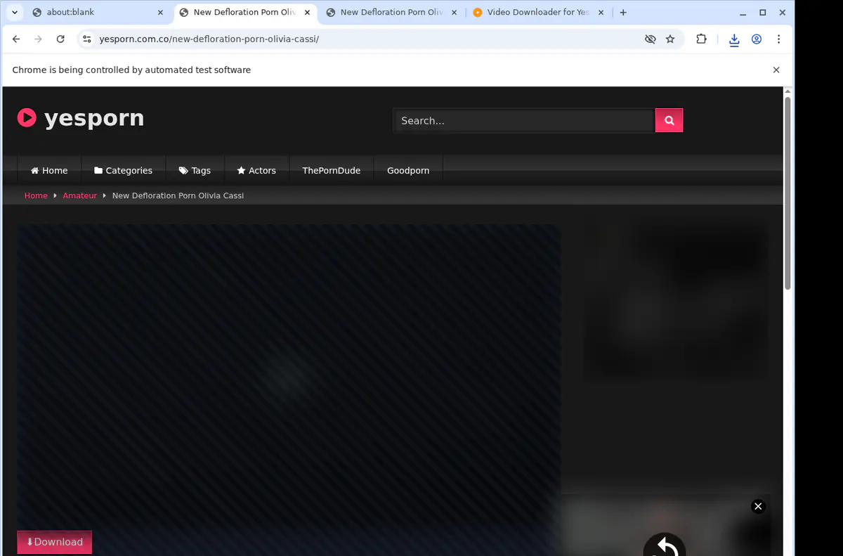 Yesporn Video Downloader browser extension screenshot 2