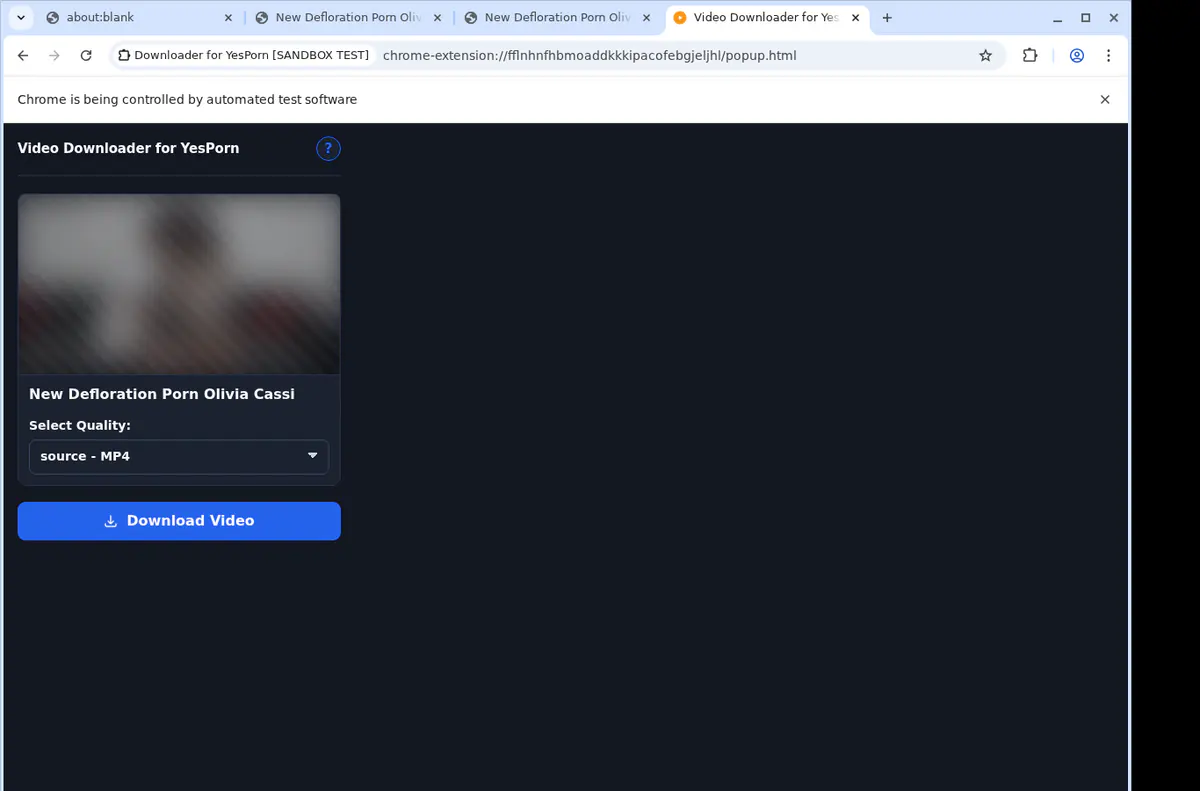 Yesporn Video Downloader browser extension screenshot 4