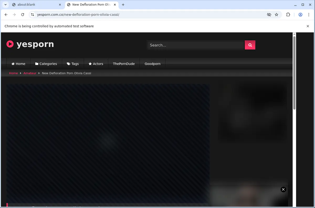 Yesporn Video Downloader browser extension screenshot 5